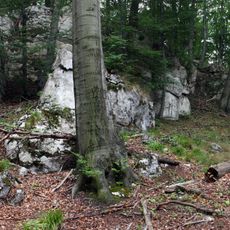 Nature reserve Sokole Góry