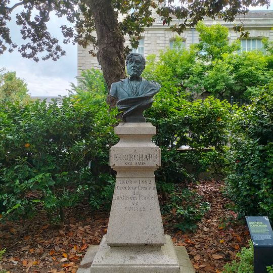 Buste du Docteur Écorchard