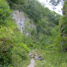 Ebbor Gorge