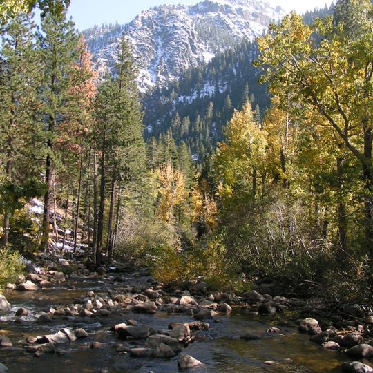 Carson River