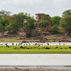 Pocharam Wildlife Sanctuary