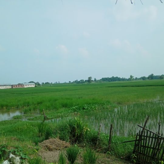 Distretto di Rautahat