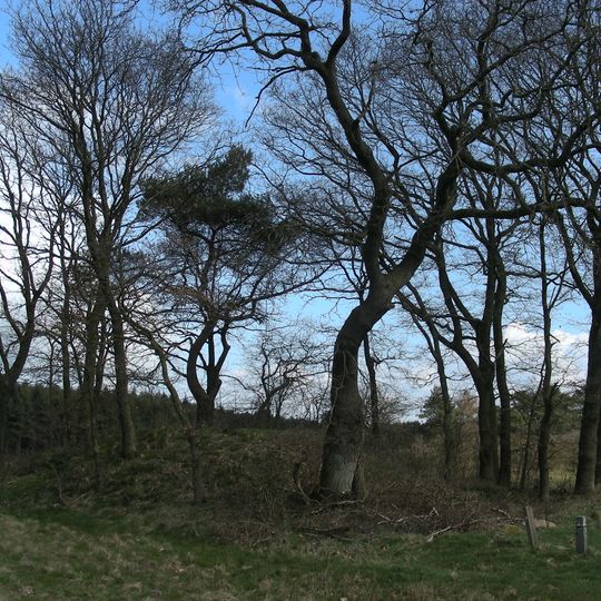 Hünenbetten von Daudieck