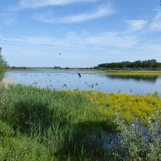Réserve naturelle régionale de l'étang d'Amel