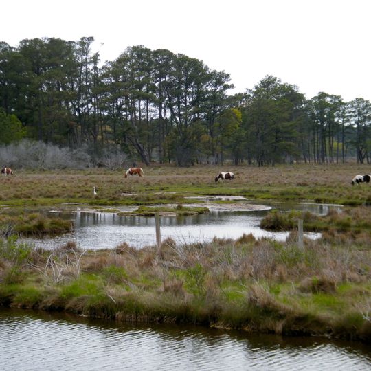 Chincoteague National Wildlife Refuge