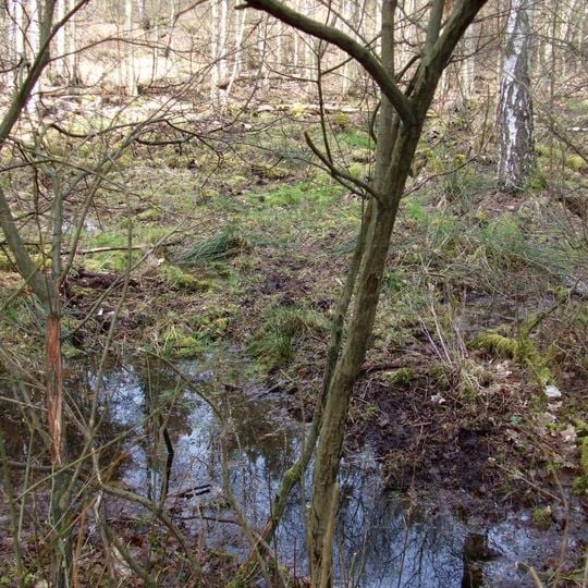 Nature reserve Pniewski Ług