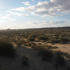 Marismas del río Piedras y Flecha de nueva umbria