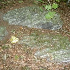 Serpentinithügel St. Nikolaus bei Floß