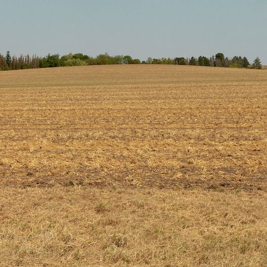 Kreisgrabenanlage von Watenstedt