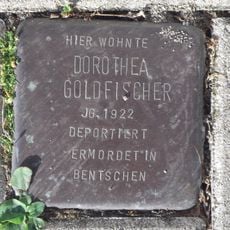 Dorothea Goldfischer