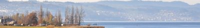 Panoramic View 1
