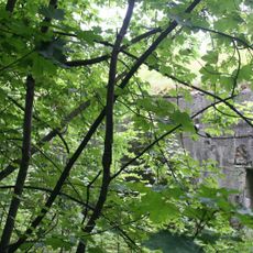 Infantry bunker IR-5 in Stolno