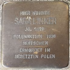 Sara Linker