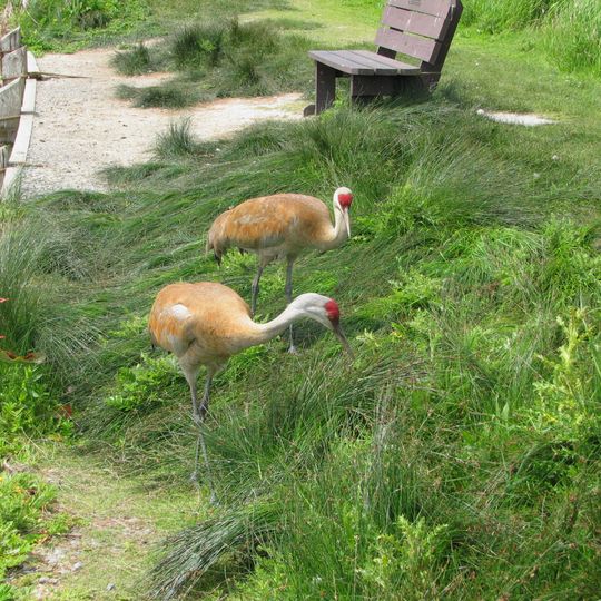 George C. Reifel Migratory Bird Sanctuary