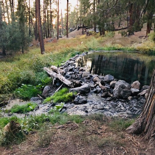 McCauley Hot Springs
