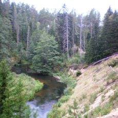 Mančiagirės skardžiai