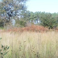 Tertres funéraires d'Arboucave