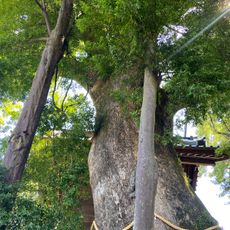熊野神社