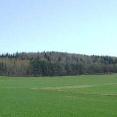 Wrona (Wzgórza Bielawskie)