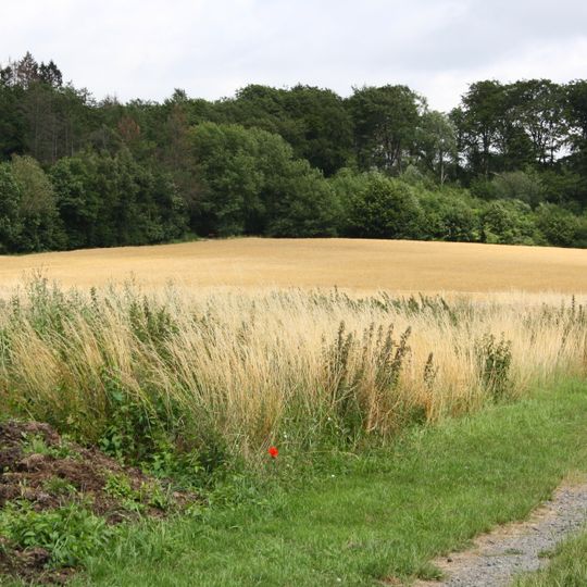 Steinbruch am Breiten Berg