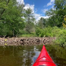 Pleasant Lake