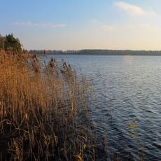 Velyke