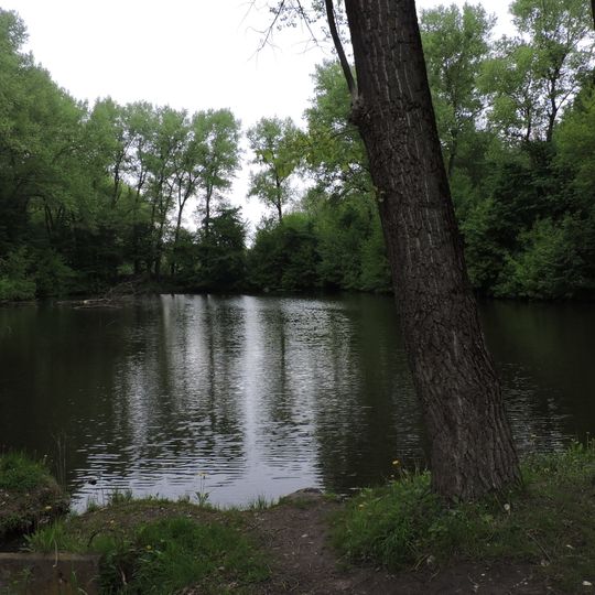 Білецький парк