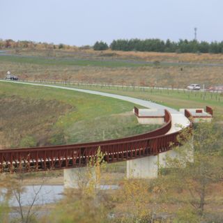 Wetlands Bridge