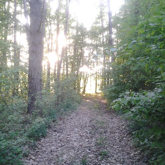 Сторонибаби