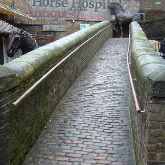 Horse Hospital With Ramps And Boundary Wall At North Of Site