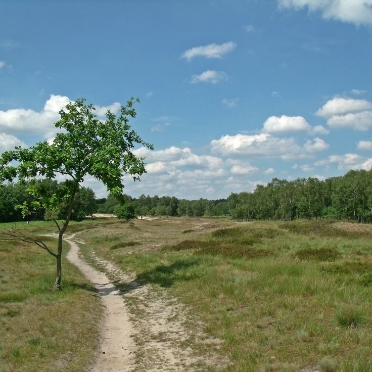 Boberger Duinen