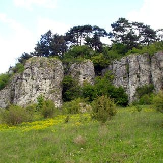 Medobory Nature Reserve