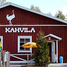 Strutsitila Syrjynen