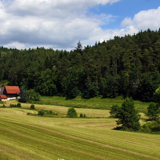 Laubmischwald im oberen Aufseßtal