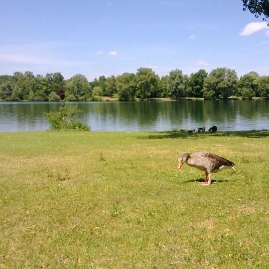 Schwarzhölzl mit dem nach Süden und Osten anschließenden Gebiet, dem Würmkanal und dem Gebiet um den Baggersee in Feldmoching