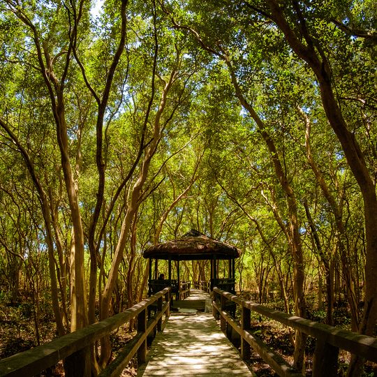 Las Piñas–Parañaque Critical Habitat and Ecotourism Area