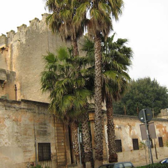 Castello Dentice di Frasso di San Vito dei Normanni