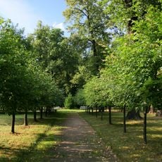 Ostankino Park