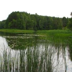 Dębno