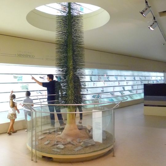 Museo de Paleobotánica Roberto Wagner
