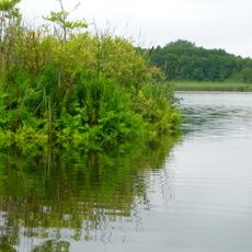 Kleiner Plessower See