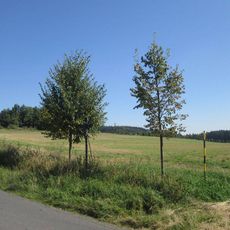 Kříž u rozcestí nad Petříkovem