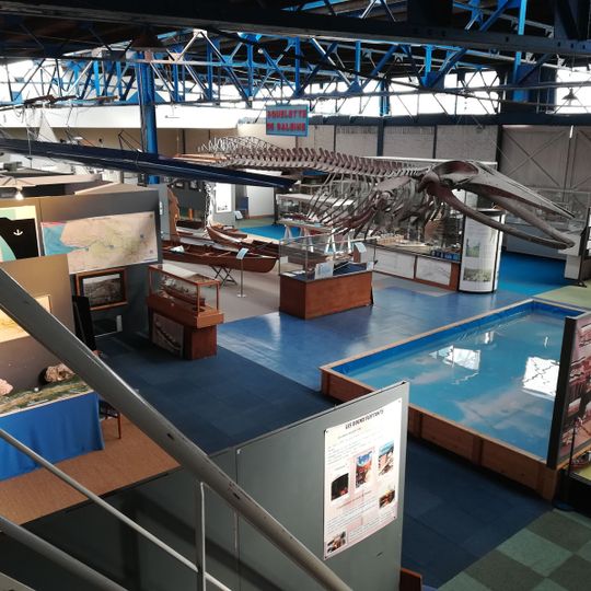 Maritime, Fluvial and Harbor Museum of Rouen