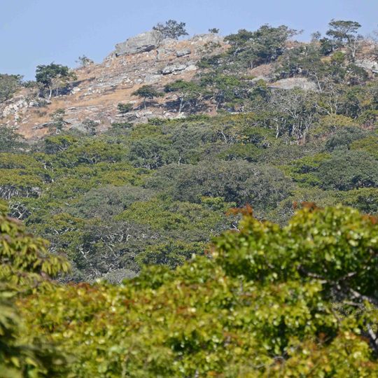 Nkhotakota Game Reserve