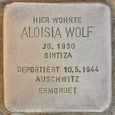 Aloisia Wolf