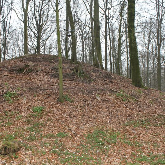 Sneglehøj von Kirke Sonnerup