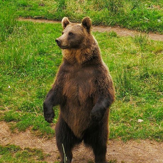 Parc animalier des Angles