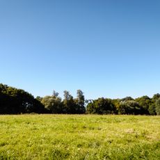 Otoczenie (łąki i pastwiska) zespołu pałacowego
