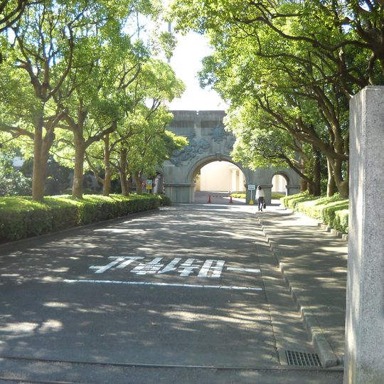 The Matsushita Institute of Government and Management