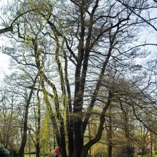 Lávka na jižní straně severního jezera v Husových sadech v Sokolově